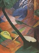 Franz Marc Deer in the Forest (mk34) oil painting reproduction